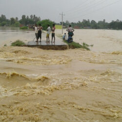 महाकाली नदीमा फसेका १० जनाको उद्धार