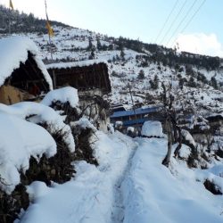डडेल्धुरामा हिमपात : जनजीवन कष्टकर, यातायात सेवा प्रभावित